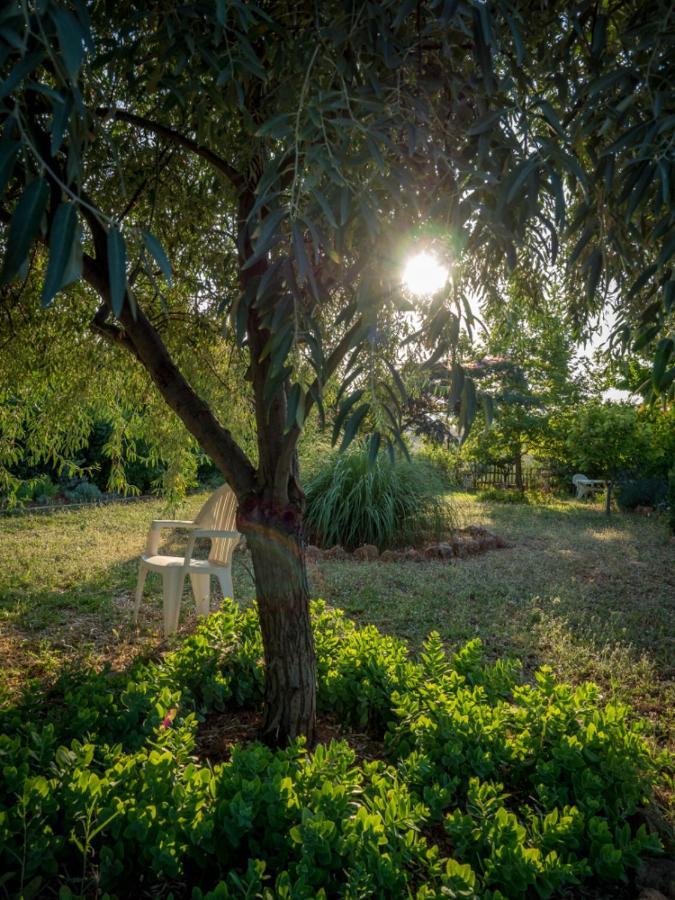 Vineyard Country House With Panoramic Seaview Alexandroupoli Esterno foto
