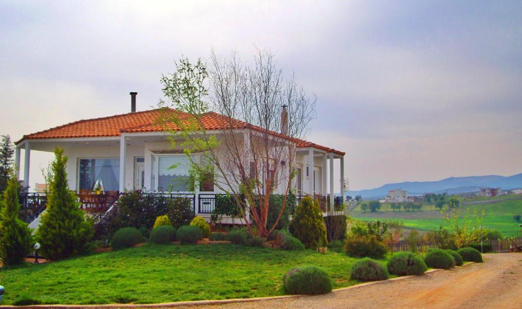 Vineyard Country House With Panoramic Seaview Alexandroupoli Esterno foto