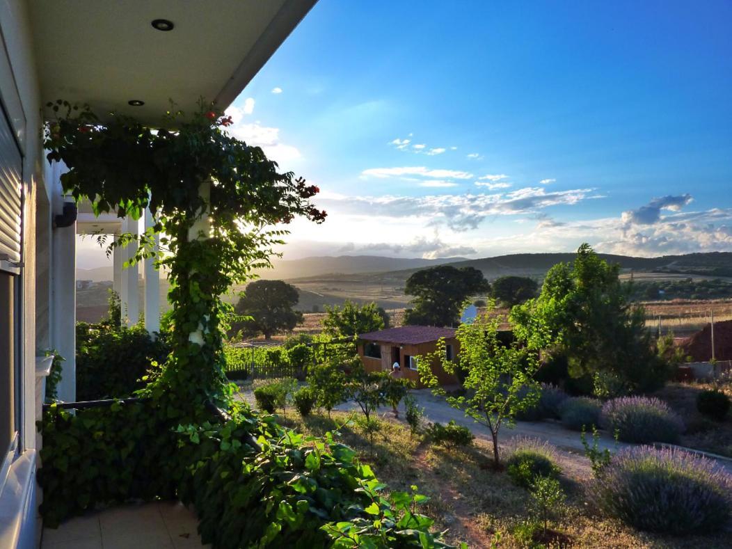 Vineyard Country House With Panoramic Seaview Alexandroupoli Esterno foto